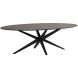 Eettafel Ranea 220x110 cm ovaal met ranke spinpoot