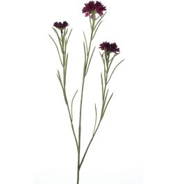 Kunstboem Centaurea rood