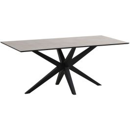 Eettafel Ranea 200x100 cm rechthoekig grijs met ranke spinpoot