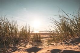 Wanddecoratie PMMO 25