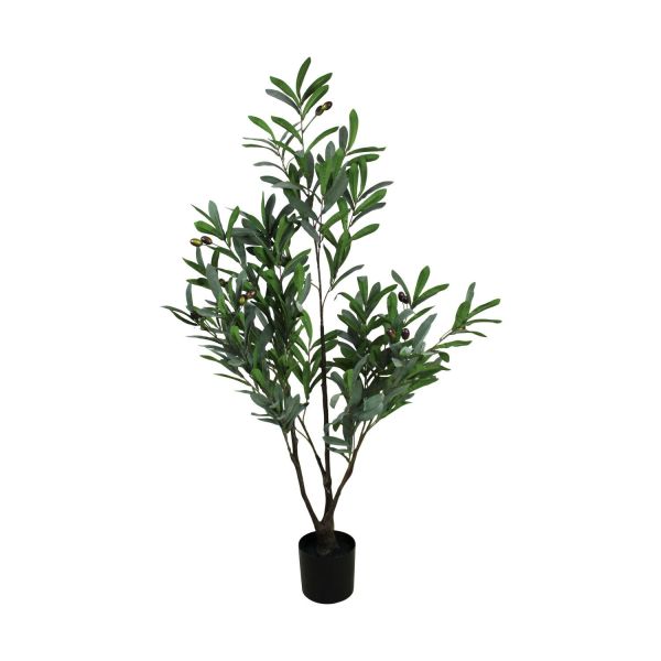 Kunstplan Shonto olijfboom