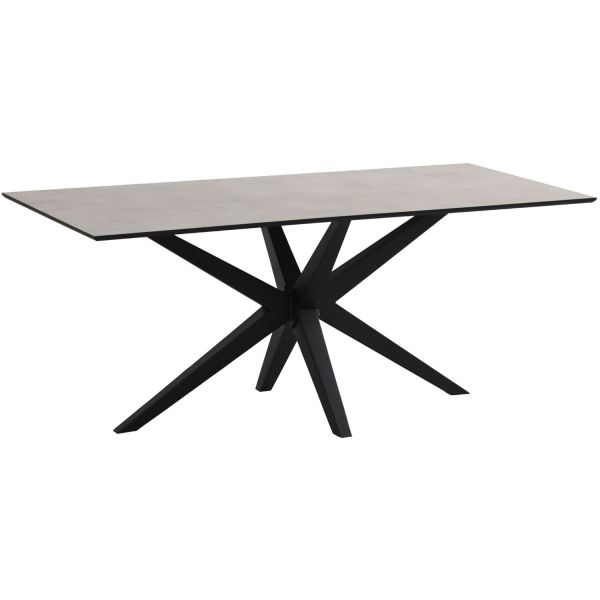 Eettafel Ranea 220x110 cm rechthoekig grijs met ranke spinpoot