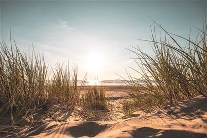 Wanddecoratie PMMO 25