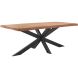 Eettafel Newhaven mangohout 180x90 cm rechthoekig