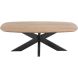 Salontafel Nocona mangohout 120x70 cm Deens ovaal