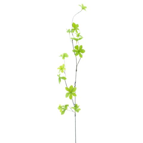 Kunsttak Dorzano ekianthus 85 cm groen