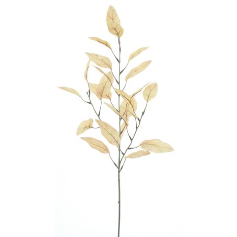 Kunsttak Dorzano eucalyptus 72 cm bruin